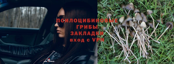 марки lsd Балахна