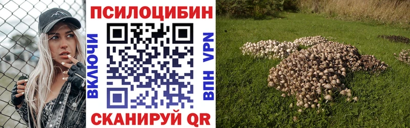 Купить  Артёмовский  Псилоцибиновые грибы ЛСД 